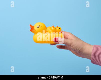 Die Hand einer Frau hält eine gelbe Gummiente auf blauem Hintergrund, ein Badespielzeug Stockfoto