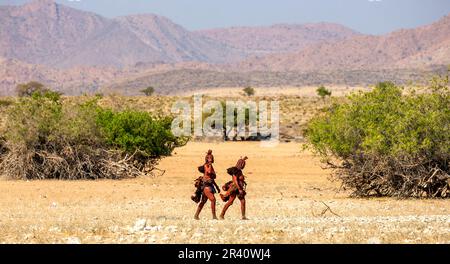 Zwei Frauen des Himba-Stammes laufen in Nationalkleidung durch die Wüste. Stockfoto