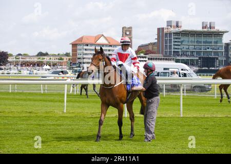 Jockey Duan Fentiman auf Dark Jedi bei York Races. Stockfoto