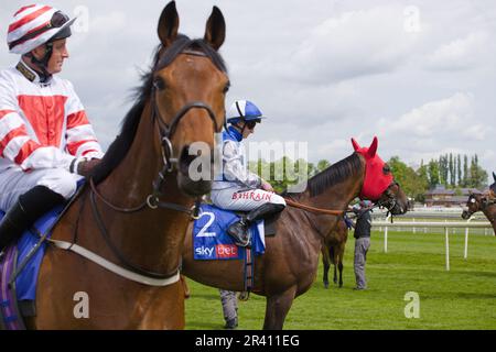 Jockey Duan Fentiman auf Dark Jedi bei York Races. Stockfoto