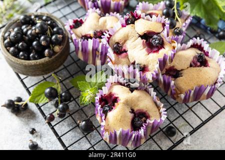 Gesundes Dessert. Veganes glutenfreies Gebäck. Haferflocken-Bananenmuffins mit schwarzer Johannisbeere auf einem Steintisch. Stockfoto