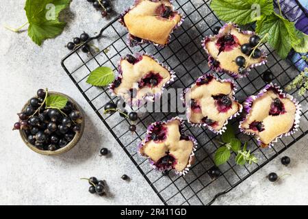 Veganes glutenfreies Gebäck. Haferflocken-Bananen-Muffins mit schwarzer Johannisbeere auf einem Steintisch. Gesundes Dessert. Blick von oben. Stockfoto