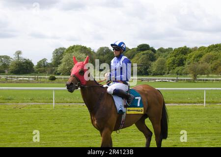 Jockey Jim Crowley auf Khanjar bei York Races. Stockfoto