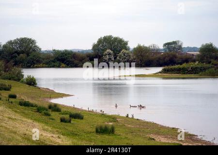 Die Szene im High Eske Nature Reserve, Tickton, East Yorkshire, nachdem zwei Teenager ertrunken sind. Am Mittwochabend wurden vier weitere Menschen aus dem See gerettet. Die Polizei von Humberside sagte, dass die Leichen von zwei Männern - im Alter von 18 und 19 - bis etwa 8,35pm geborgen wurden. Foto: Donnerstag, 25. Mai 2023. Stockfoto