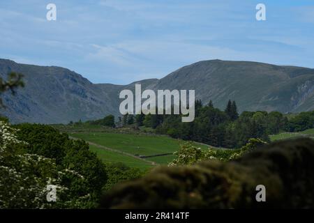 Blick von Orrest Head, Windermere, Lake District Stockfoto