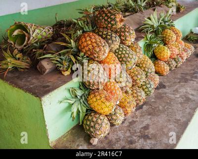 Haufen frischer Ananas auf dem Straßenmarkt in Madagaskar Stockfoto