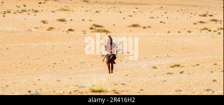 Himba-Frau läuft mit Feuerholz in der Wüste. Stockfoto