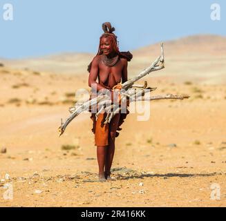 Himba-Frau läuft mit Feuerholz in der Wüste. Stockfoto