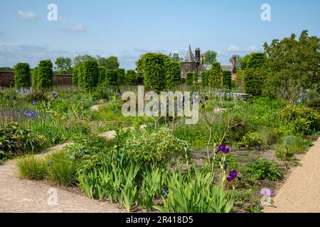 Frühsommer im Paradise Garden im RHS Bridgewater, Greater Manchester, England Stockfoto