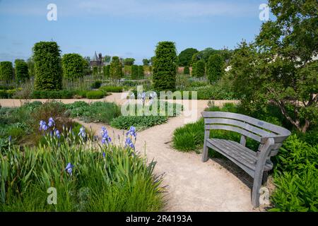Frühsommer im Paradise Garden im RHS Bridgewater, Greater Manchester, England Stockfoto