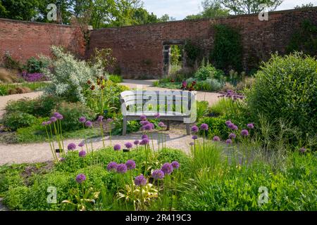 Frühsommer im Paradise Garden im RHS Bridgewater, Greater Manchester, England Stockfoto