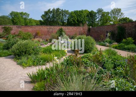 Frühsommer im Paradise Garden im RHS Bridgewater, Greater Manchester, England Stockfoto