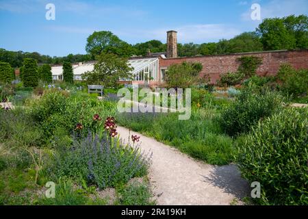 Frühsommer im Paradise Garden im RHS Bridgewater, Greater Manchester, England Stockfoto