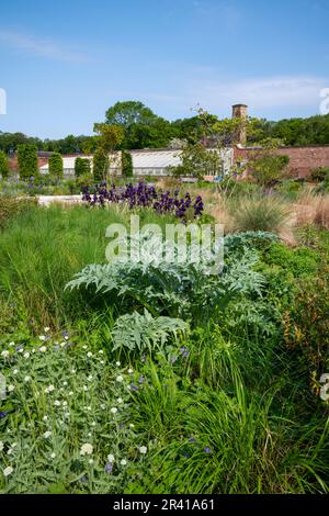 Frühsommer im Paradise Garden im RHS Bridgewater, Greater Manchester, England Stockfoto