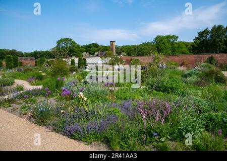 Frühsommer im Paradise Garden im RHS Bridgewater, Greater Manchester, England Stockfoto