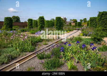 Der Paradise Garden Ende Mai im RHS Bridgewater, Greater Manchester, England Stockfoto