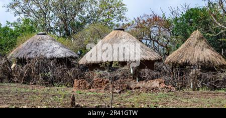 Traditionelle runde Hütten mit Grasdach und Tonwand in einem abgelegenen Dorf. Kenia, Afrika. Stockfoto