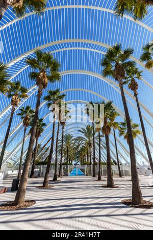 Ciutat de les Arts i les Ciencies mit L'Umbracle-Gebäude, moderne Architektur von Santiago Calatrava Portrait in Valencia, Spanien Stockfoto