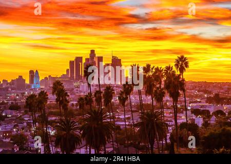 Blick auf die Skyline von Los Angeles mit Palmen bei Sonnenuntergang in Kalifornien in den USA Stockfoto