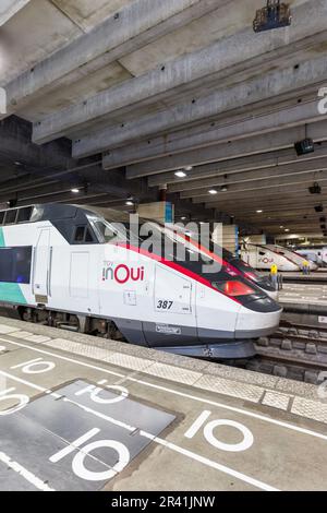 TGV-Züge SNCF-Hochgeschwindigkeitszug am Bahnhof Gare Paris Montparnasse im Porträtformat in Frankreich Stockfoto