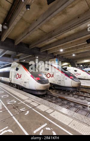 TGV-Duplex-Züge SNCF-Hochgeschwindigkeitszug im Porträtformat am Bahnhof Gare Paris Montparnasse in Frankreich Stockfoto