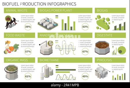 Isometrische Biokraftstoffproduktion Horizontale Infografiken mit Vektordarstellung für anaerobe Vergärung von tierischen Abfällen in Biogas-Kraftwerken in Prozent 3D Stock Vektor