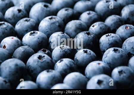 Nahaufnahme frischer Heidelbeeren in einer ordentlichen Anordnung Stockfoto