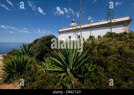 Leuchtturm Cap Blanc, Llucmajor, Mallorca, Balearen, Spanien. Stockfoto