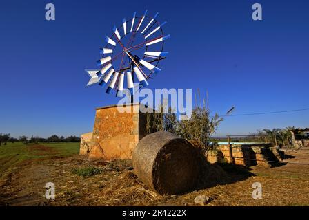 Molino de Agua para Extraccion (s. XIX-XX). Cami de Sa pedra rodona.Campos.Comarca de Migjorn. Mallorca. Balearen. España. Stockfoto