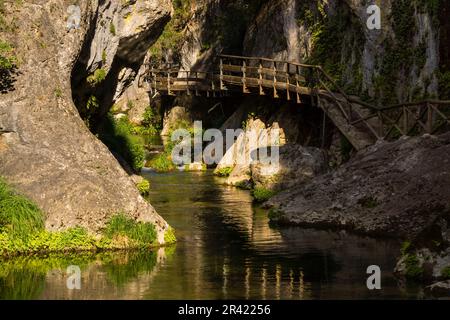 Cerrada de Elias, Ruta Del Rio Borosa, Parque natural Sierra de Cazorla, Segura y Las Villas, Jaen, Andalusien, Spanien. Stockfoto