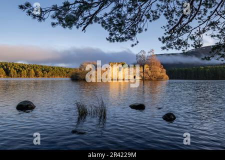 Castillo del siglo XIII, Loch ein Eilein, Parque Nacional de Cairngorms, Highlands, Escocia, Reino Unido. Stockfoto