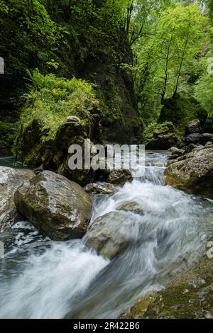 Garganta de Kakueta, Sainte-Enak<unk>, región de Aquitania, departamento de Pirineos Atlánticos, Francia. Stockfoto