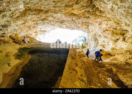 estanque, Cova de Sant Antoni, Cingle den Cladera, Castillo de Alaró, Alaró, Serra de Tramuntana, Mallorca, balearen, Spanien. Stockfoto