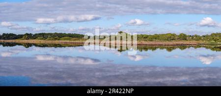 Salzsee SA Vall, Colònia de Sant Jordi, ses Salines, Mallorca, Balearen, Spanien. Stockfoto