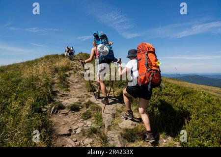 Senderistas en la cresta de polonina Carynska, Parque nacional Bieszczady, Reserva de la UNESCO llamada Reserva de la biosfera Carpática oriental, voivodato de la Pequeña Polonia, Cárpatos, Polonia, osteuropa. Stockfoto