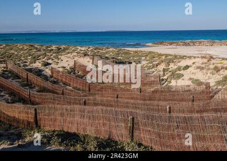 Barrieren für Dünenschutz, Strand von Llevant, Naturpark Ses Salines dEivissa i Formentera, Formentera, Pitiusas-Inseln, Balearengemeinschaft, Spanien. Stockfoto