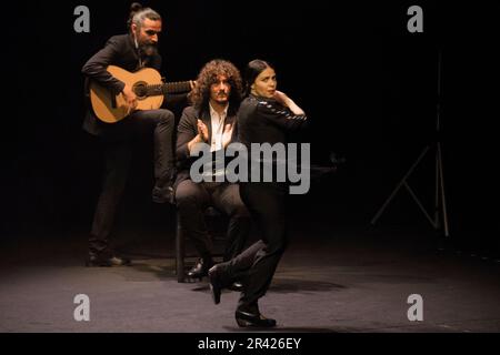 Im Rahmen der Neuauflage des Madrider Flamenco-Festivals, dessen Hauptziel die Ausstellung und Verbreitung von Flamenco und spanischem Tanz ist, ist das Fernán Gómez Centro Cultural de la Villa Gastgeber des neuen Werks von Mariana Collado. Die Premiere in Madrid mit Tanz, choreographiert von Vanesa Coloma und Alfonso Losa, und Livemusik. Das Werk erzählt die Geschichte eines Mädchens, das in Madrid mit einer traditionellen Madrider Familie geboren, ausgebildet und aufgewachsen ist und das Genre des Magazins durch die Hände ihrer Ältesten entdeckte. Es basiert auf den Abenteuern und Erlebnissen der Stadt C. Stockfoto