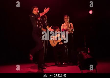 Im Rahmen der Neuauflage des Madrider Flamenco-Festivals, dessen Hauptziel die Ausstellung und Verbreitung von Flamenco und spanischem Tanz ist, ist das Fernán Gómez Centro Cultural de la Villa Gastgeber des neuen Werks von Mariana Collado. Die Premiere in Madrid mit Tanz, choreographiert von Vanesa Coloma und Alfonso Losa, und Livemusik. Das Werk erzählt die Geschichte eines Mädchens, das in Madrid mit einer traditionellen Madrider Familie geboren, ausgebildet und aufgewachsen ist und das Genre des Magazins durch die Hände ihrer Ältesten entdeckte. Es basiert auf den Abenteuern und Erlebnissen der Stadt C. Stockfoto