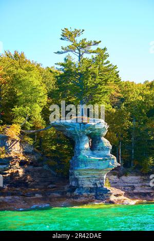 Türkisfarbenes, grünes Wasser, das an den Felswänden von Pictured Rocks mit einem einsamen Baum am Rand spritzt Stockfoto