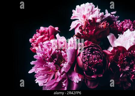 Schöner Pfingstrosen-Bouquet auf schwarz. Blumenhintergrund. Festliche Blumen Konzept Stockfoto