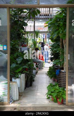 Pishi Street, Gusu District, Suzhou, Jiangsu Stockfoto