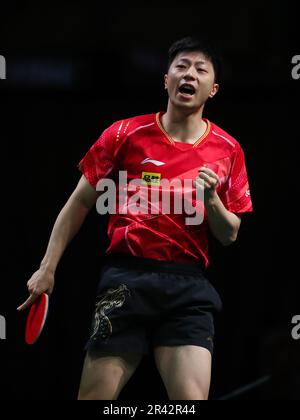 Durban, Südafrika. 25. Mai 2023. MA Long of China feiert das Tor während der Einzelrunde der Männer im Jahr 16 gegen Lim Jonghoon aus Südkorea bei den ITTF Table Tennis World Championships Finals 2023 in Durban, Südafrika, 25. Mai 2023. Kredit: Han Xu/Xinhua/Alamy Live News Stockfoto