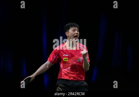 Durban, Südafrika. 25. Mai 2023. MA Long of China feiert das Tor während der Einzelrunde der Männer im Jahr 16 gegen Lim Jonghoon aus Südkorea bei den ITTF Table Tennis World Championships Finals 2023 in Durban, Südafrika, 25. Mai 2023. Kredit: Han Xu/Xinhua/Alamy Live News Stockfoto