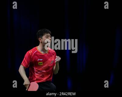 Durban, Südafrika. 25. Mai 2023. MA Long of China feiert das Tor während der Einzelrunde der Männer im Jahr 16 gegen Lim Jonghoon aus Südkorea bei den ITTF Table Tennis World Championships Finals 2023 in Durban, Südafrika, 25. Mai 2023. Kredit: Han Xu/Xinhua/Alamy Live News Stockfoto