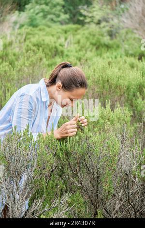 Braunhaarige Frau besucht Rosmarinfeld und genießt den Geruch von Pflanzen. Lady Tourist erkundet gern die Wahrzeichen des malerischen Seebads Stockfoto