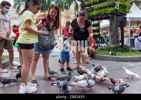 Taubenfütterung auf der Piazza, der Venice Grand Canal Mall, Taguig City, Manila, Philippinen Stockfoto