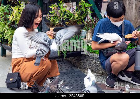 Taubenfütterung auf der Piazza, der Venice Grand Canal Mall, Taguig City, Manila, Philippinen Stockfoto