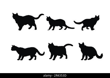 Niedliches „Katzenwandern“-Design. „Cat Standing in different positions“-Silhouette-Kollektion. Süßes Hauskatze-Vektordesign auf weißem Hintergrund Stock Vektor