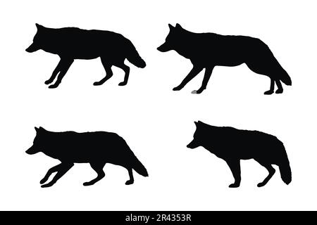 Coyote-Silhouettenvektorsammlung auf weißem Hintergrund. „Wild Coyotes Standing“-Design. Kojote im Stehen und Sitzen. Coyote Wolf schwarz Stock Vektor