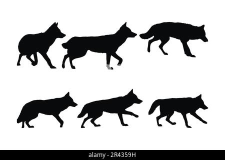 Wilde Kojoten-Vektordesign auf weißem Hintergrund. „Coyote Walking“-Design. Kojotenwolf steht Silhouette Set Vector. Kojote steht Stock Vektor